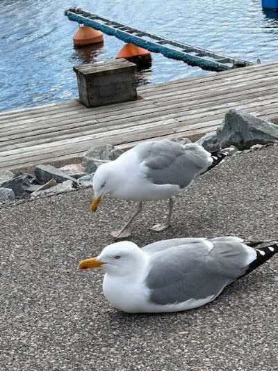 IMG_8759 (1)